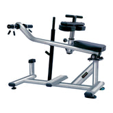 Máquina profesional de elevación de pantorrillas WBX-3000